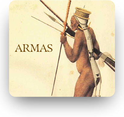 fundo-arvores-08