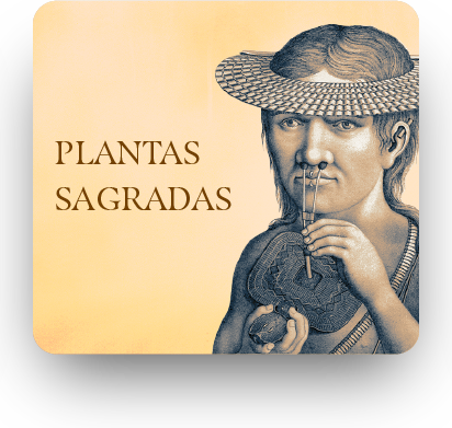 fundo-arvores-09