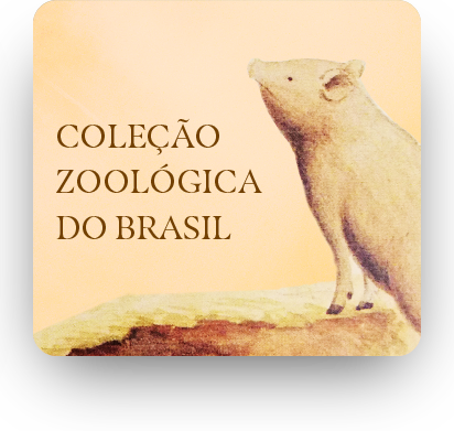 fundo-arvores-15